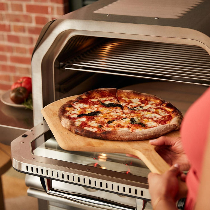 Blaze 26-Inch Built-In Propane Outdoor Pizza Oven W/ Rotisserie - BLZ-26-PZOVN-LP